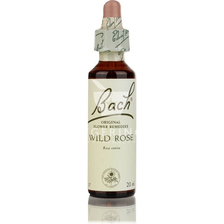 Aνθοΐαμα Bach Wild Rose, για απάθεια και παραίτηση απο τη ζωή, συμπληρωμα διατροφής σε σταγόνες απο το Φαρμακείο Avgerinos