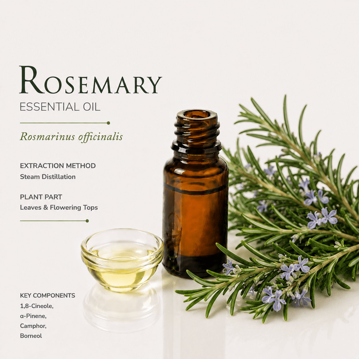 Αιθέριο έλαιο Δεντρολίβανο (Rosemary), φαρμακευτικής & καλλυντικής χρήσης - Avgerinos Pharmacy