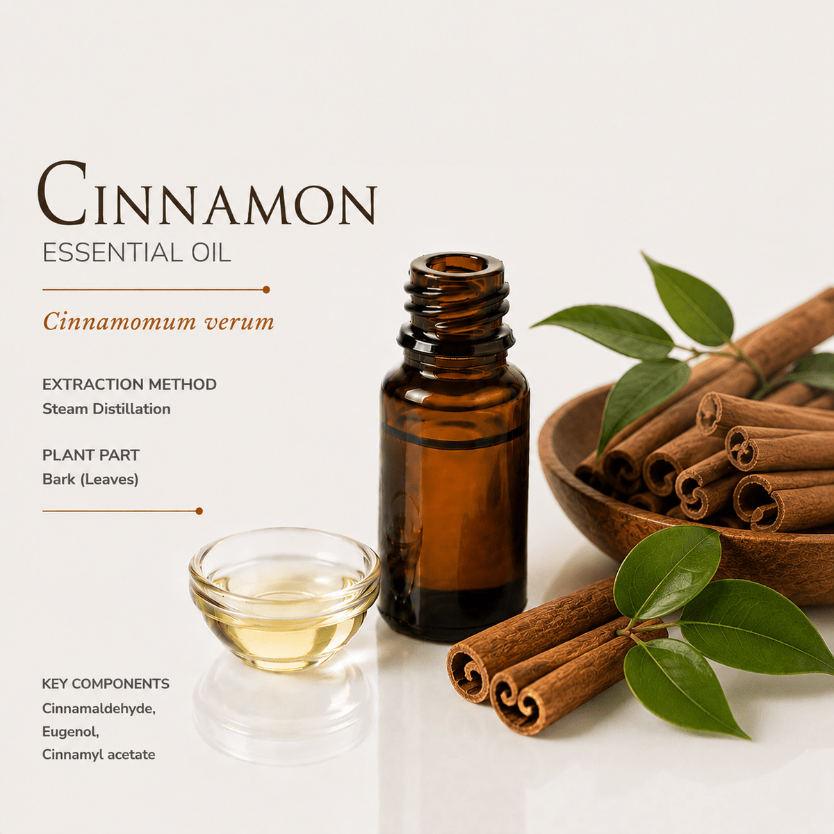 Αιθέριο έλαιο Κανέλα (Cinnamon), φαρμακευτικής & καλλυντικής χρήσης - Avgerinos Pharmacy