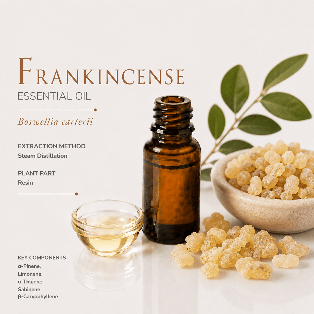 Αιθέριο έλαιο Λιβάνι (Frankincense), φαρμακευτικής & καλλυντικής χρήσης - Avgerinos Pharmacy