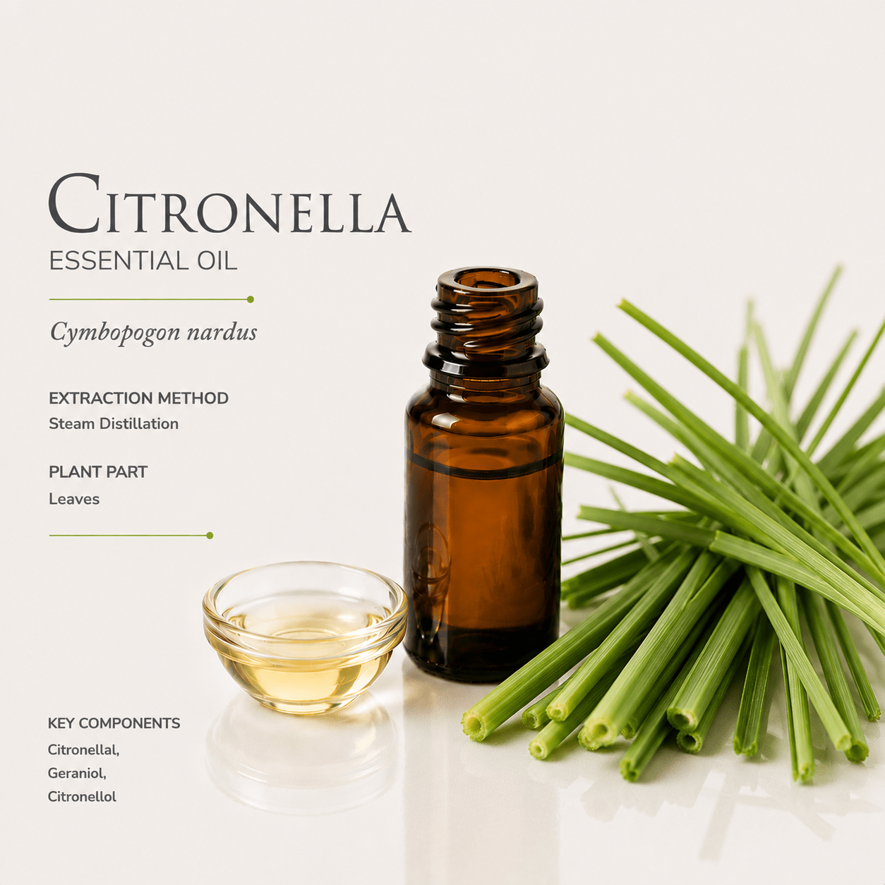 Αιθέριο έλαιο Σιτρονέλα (Citronella), φαρμακευτικής & καλλυντικής χρήσης - Avgerinos Pharmacy