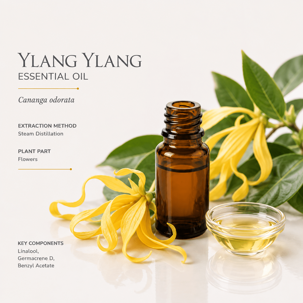 Αιθέριο έλαιο Υλάνγκ (Ylang-Ylang), φαρμακευτικής & καλλυντικής χρήσης - Avgerinos Pharmacy