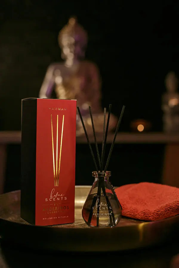 Hammam Αρωματικά Στικς / Fragrance Sticks 100ml Avgerinos Cosmetics